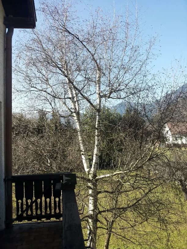 Wohnung mieten in Neunkirchen – 50 m², € 498 – Bild 3 von 3