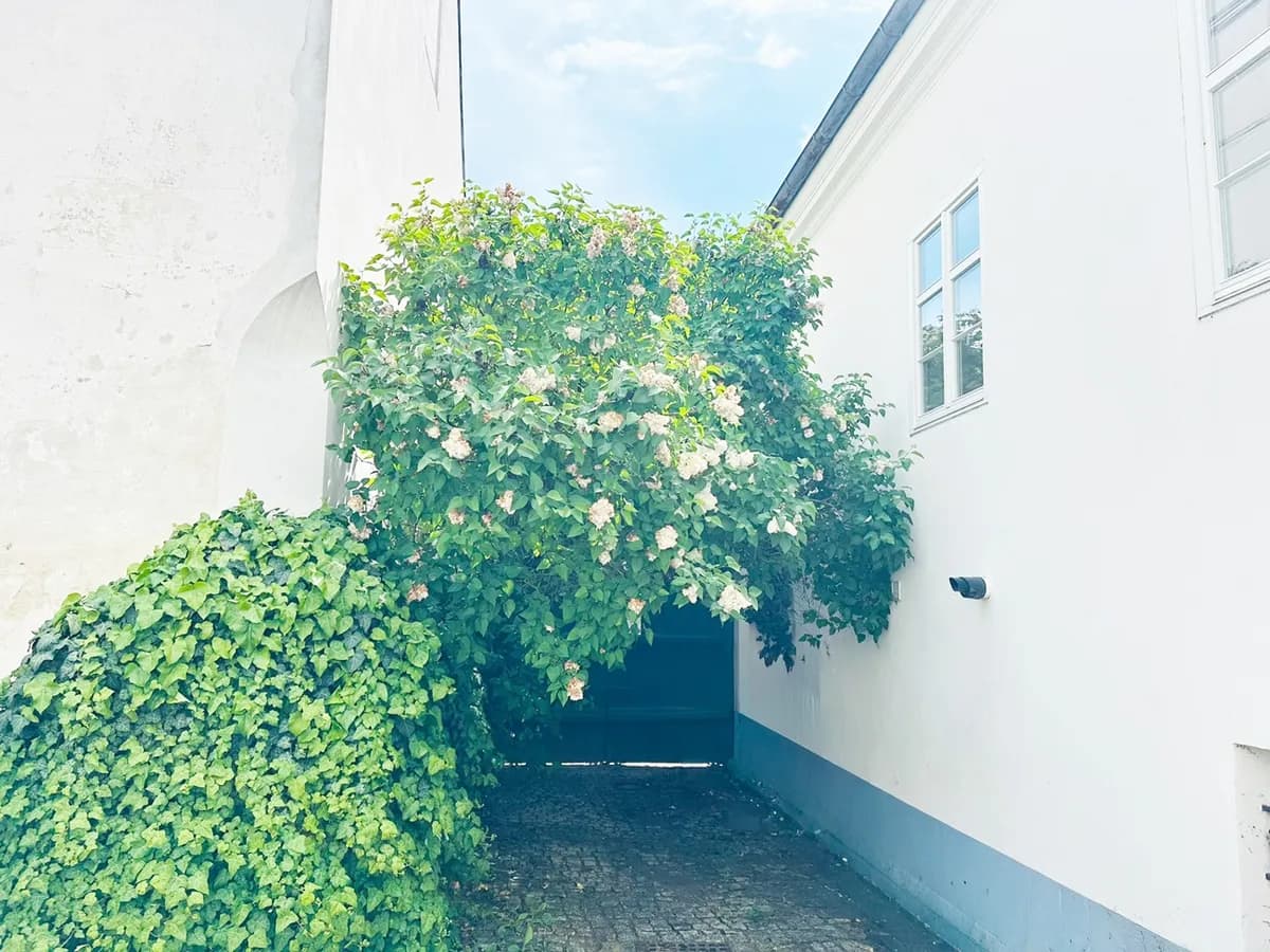 5-Zimmer-Haus mieten in Hollabrunn – 190 m², € 1.980 – Bild 5 von 18