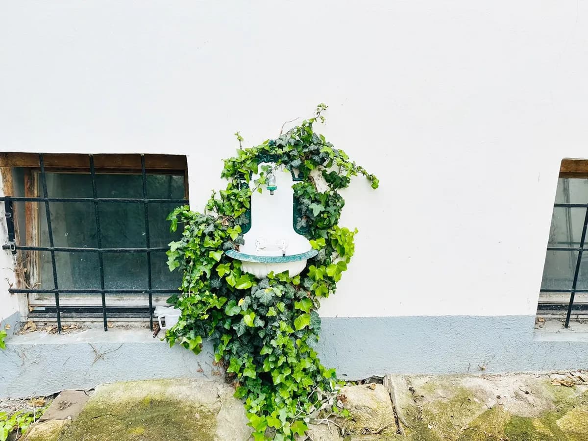 5-Zimmer-Haus mieten in Hollabrunn – 190 m², € 1.980 – Bild 6 von 18