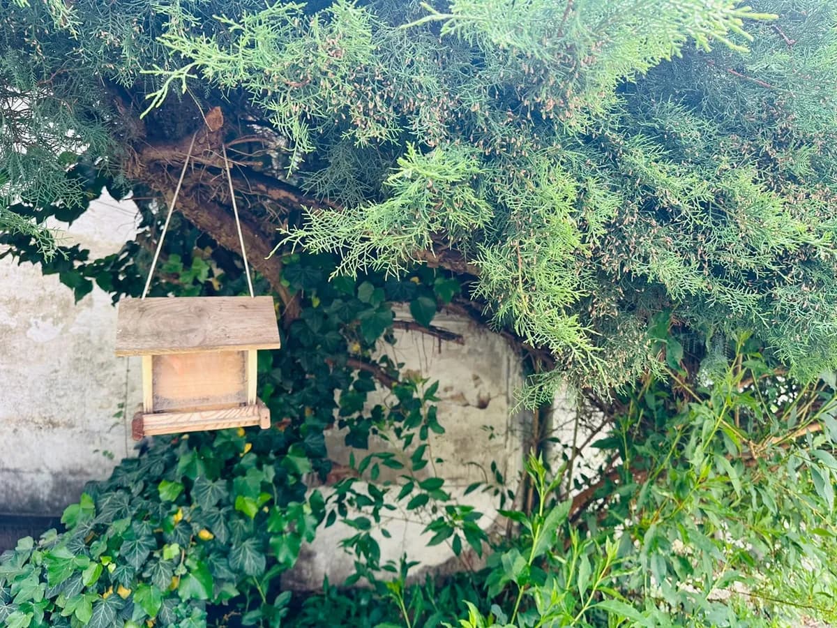 5-Zimmer-Haus mieten in Hollabrunn – 190 m², € 1.980 – Bild 7 von 18