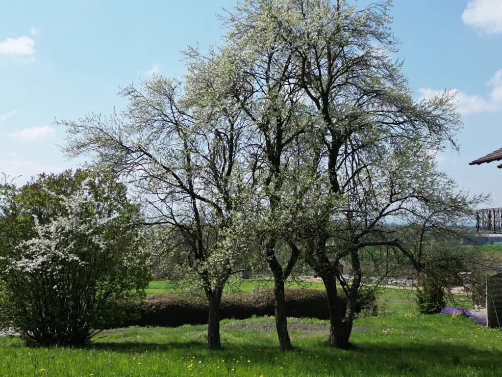 Grundstück kaufen in Braunau am Inn – 827 m², € 295.000