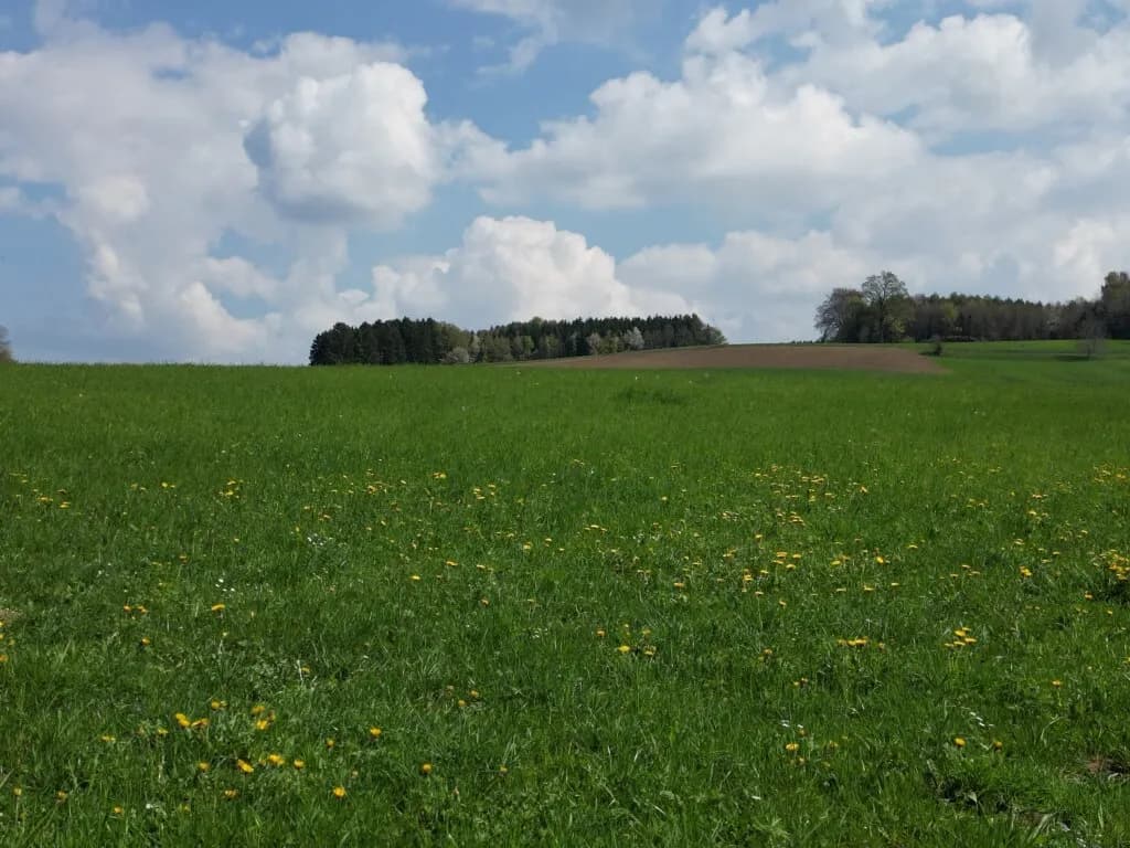 Grundstück kaufen in Braunau am Inn – 827 m², € 295.000 – Bild 3 von 13