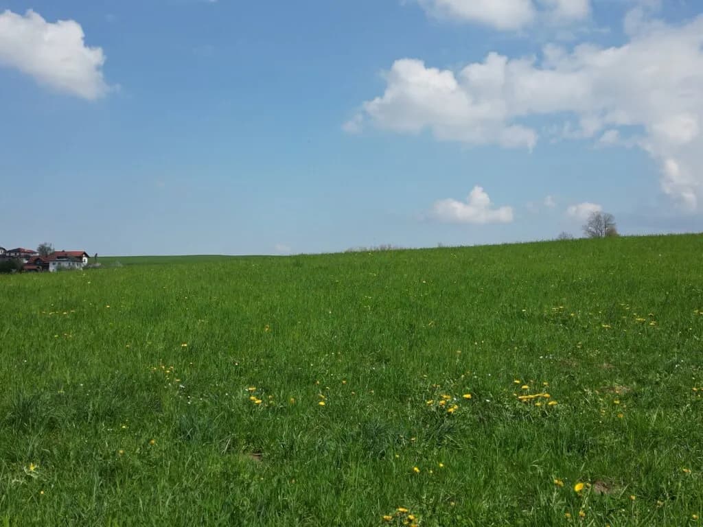 Grundstück kaufen in Braunau am Inn – 827 m², € 295.000 – Bild 4 von 13