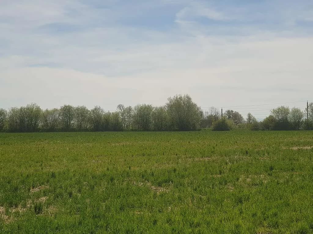 2-Zimmer-Wohnung mieten in Vöcklabruck – 45 m², € 669 – Bild 6 von 6