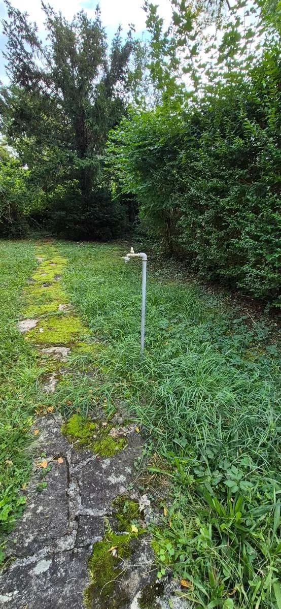 Immobilie kaufen in Wien – 796 m², € 2.650.000 – Bild 34 von 36