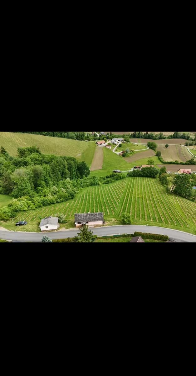 Immobilie mieten in Leibnitz – 9 500 m² – Bild 2 von 2