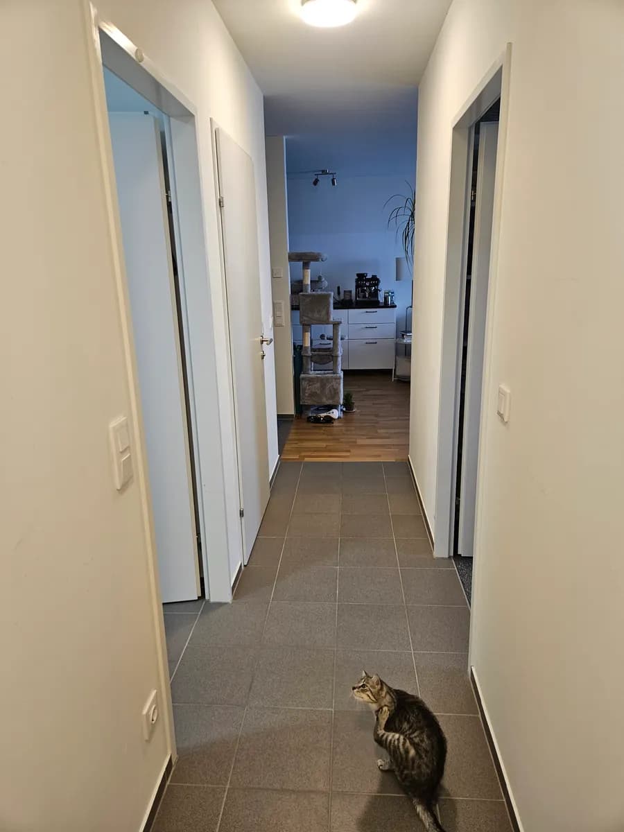 3-Zimmer-Wohnung mieten in Wien – 74 m², € 600 – Bild 5 von 14