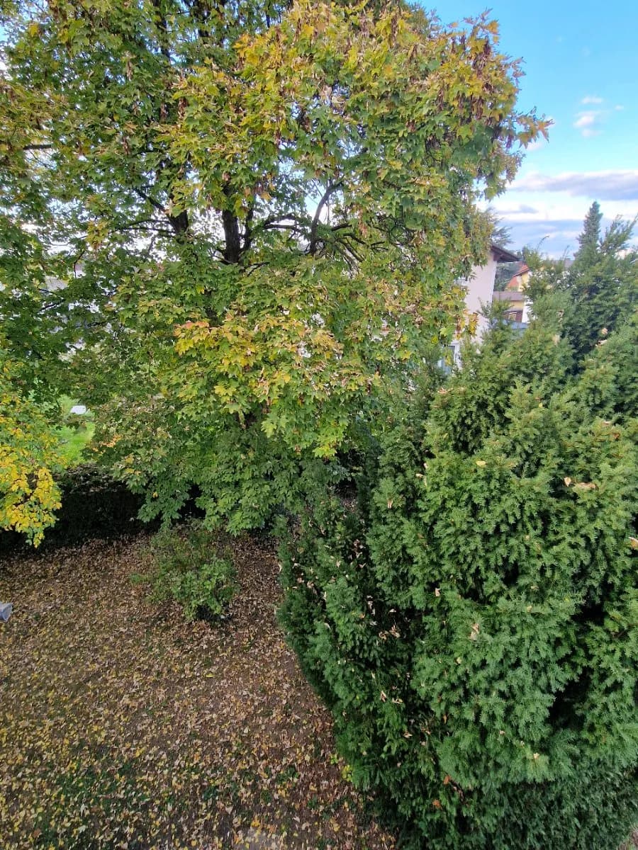 6-Zimmer-Haus kaufen in Graz – 170 m², € 430.000 – Bild 10 von 25