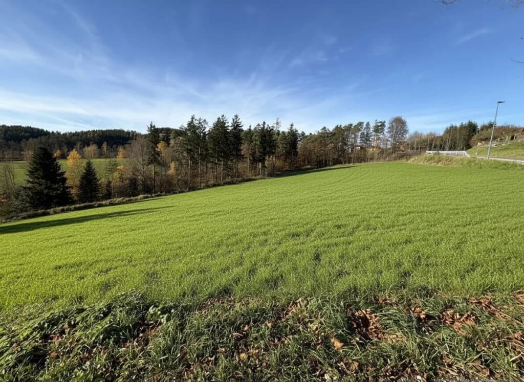 Grundstück kaufen in Wiener Neustadt Land – 695 m², € 66.300 – Bild 3 von 5