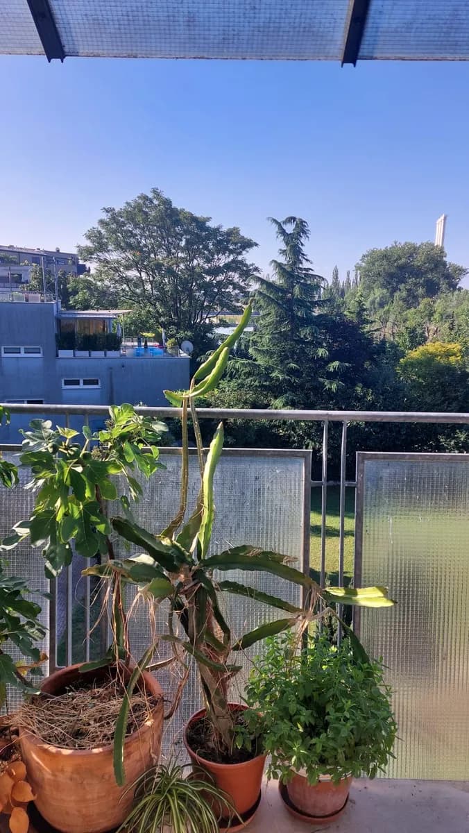 2-Zimmer-Wohnung mieten in Graz – 56 m², € 950 – Bild 2 von 9