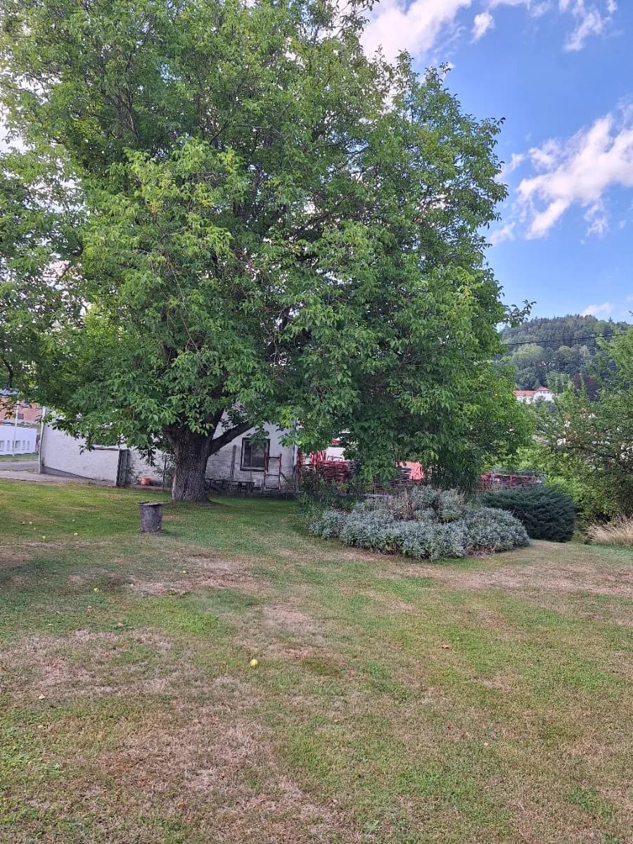 8-Zimmer-Haus kaufen in Rohrbach – 180 m², € 290.000 – Bild 21 von 29