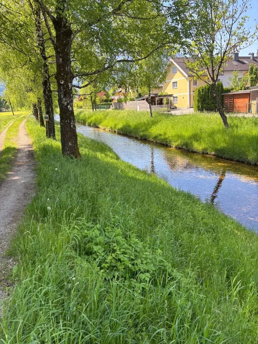 Grundstück kaufen in Salzburg Stadt – 600 m², € 1.180 – Bild 5 von 6