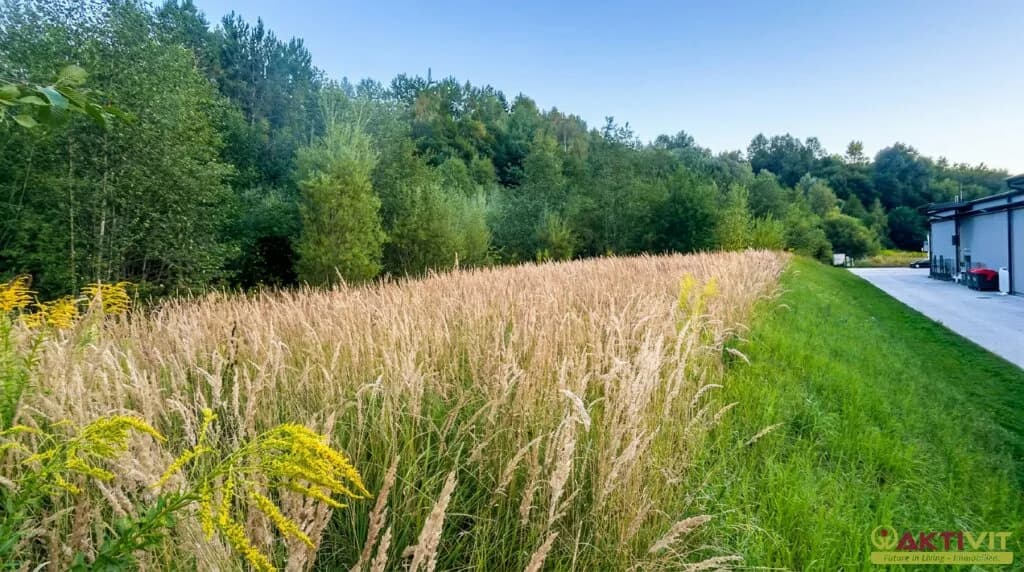 Immobilie kaufen in Bruck-Mürzzuschlag – 4 973 m², € 550.000 – Bild 1 von 7