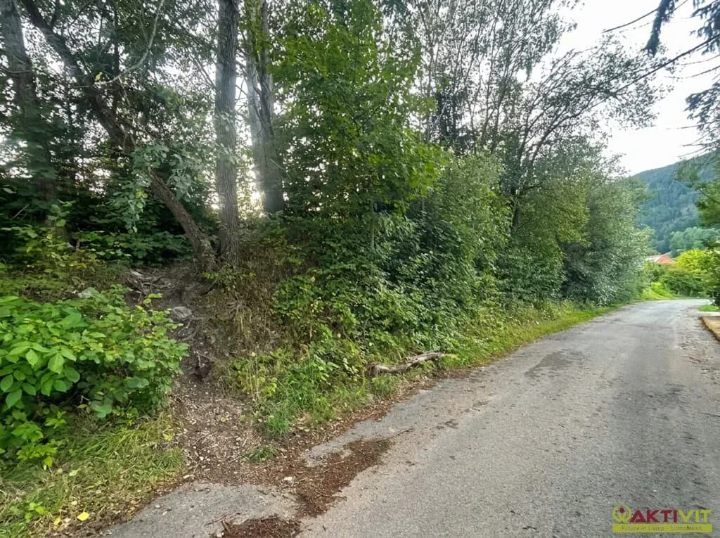 Immobilie kaufen in Bruck-Mürzzuschlag – 4 973 m², € 550.000 – Bild 7 von 7