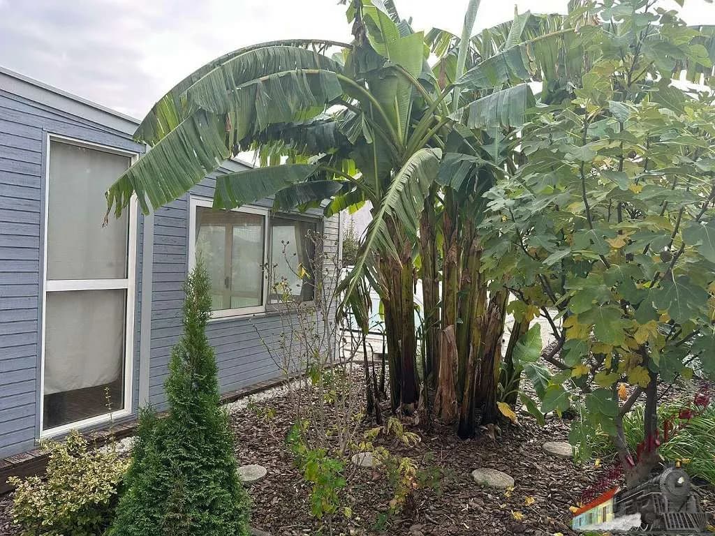 5-Zimmer-Haus kaufen in Gänserndorf – 144 m², € 759.000 – Bild 5 von 52