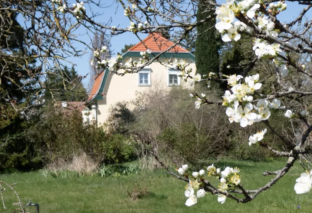 6-Zimmer-Haus kaufen in Baden – 123 m², € 790.000 – Bild 4 von 20