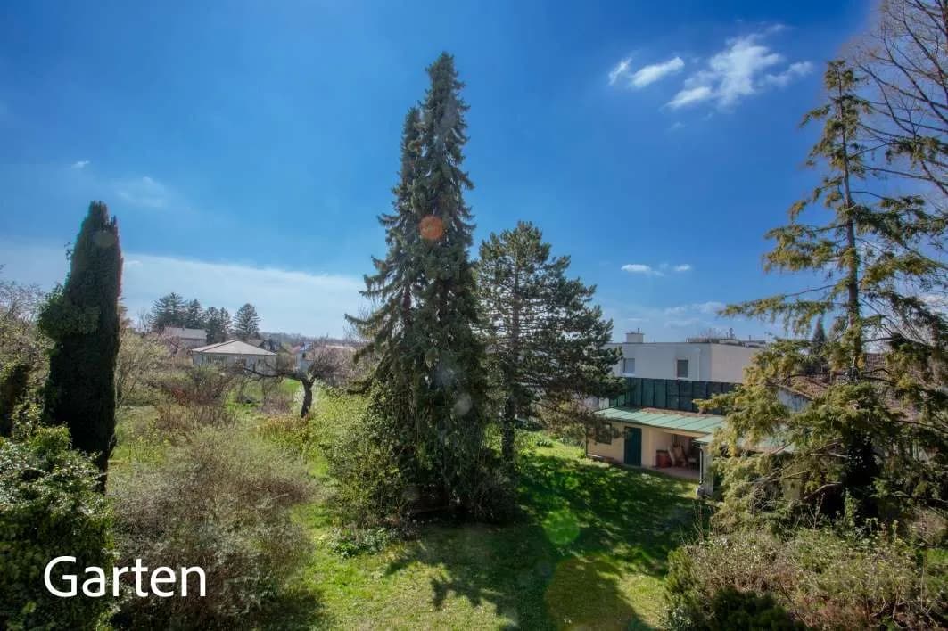 6-Zimmer-Haus kaufen in Baden – 123 m², € 790.000 – Bild 5 von 20