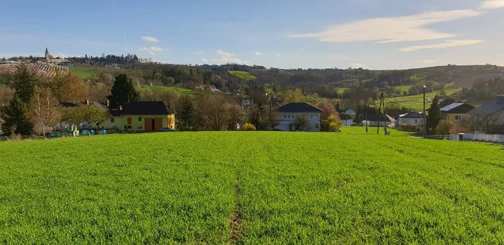 Grundstück kaufen in Eferding – 1 886 m²