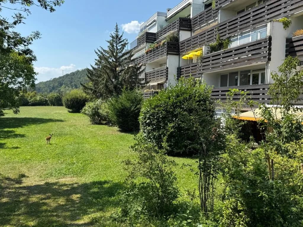 2-Zimmer-Wohnung kaufen in Mödling – 87 m², € 300.000 – Bild 10 von 12