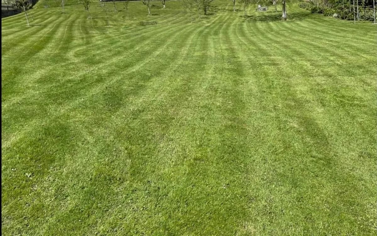 Grundstück kaufen in Urfahr-Umgebung – 2 490 m² – Bild 3 von 11