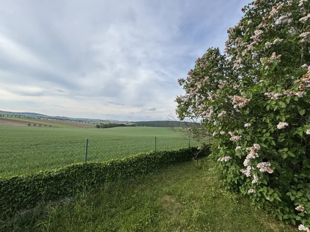 5-Zimmer-Haus kaufen in Korneuburg – 160 m², € 449.000 – Bild 23 von 31