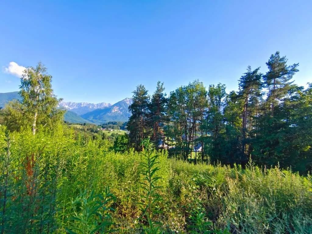 Grundstück kaufen in Klagenfurt Land – 802 m², € 127.000 – Bild 4 von 7