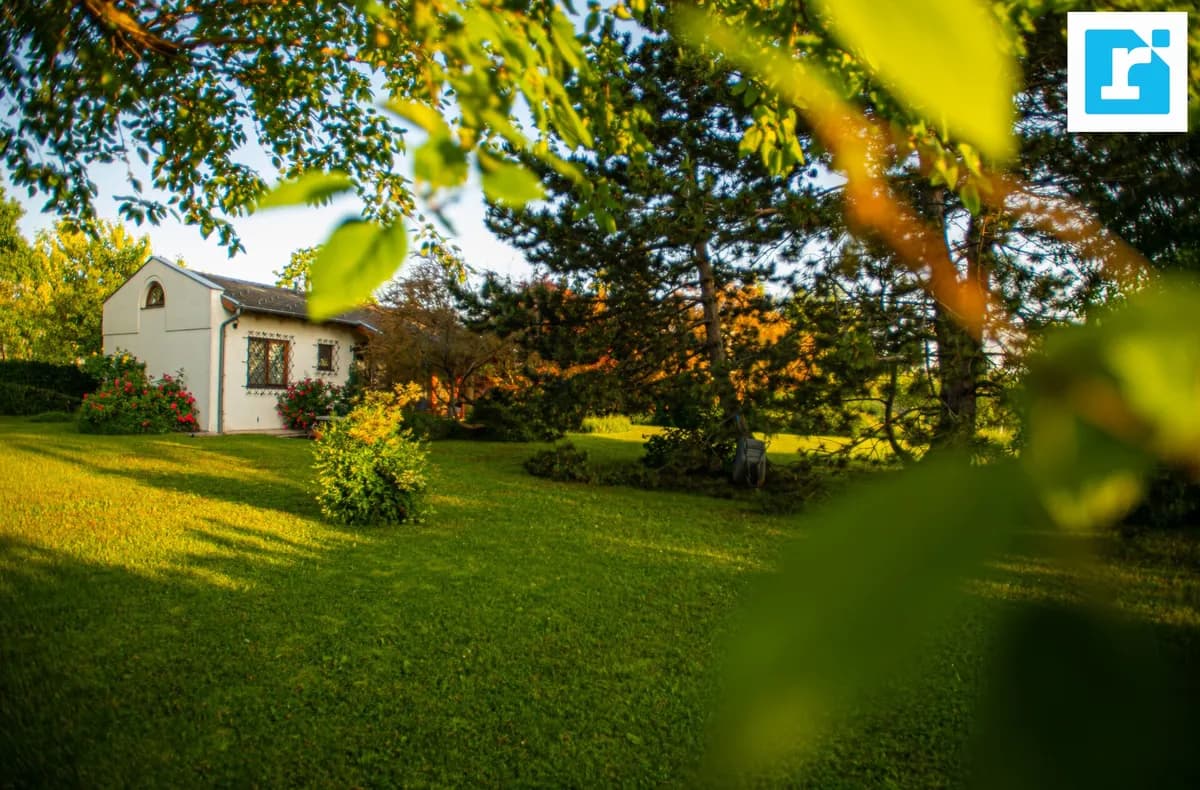 2-Zimmer-Wohnung kaufen in Neusiedl am See – 49,72 m², € 900.000 – Bild 2 von 9