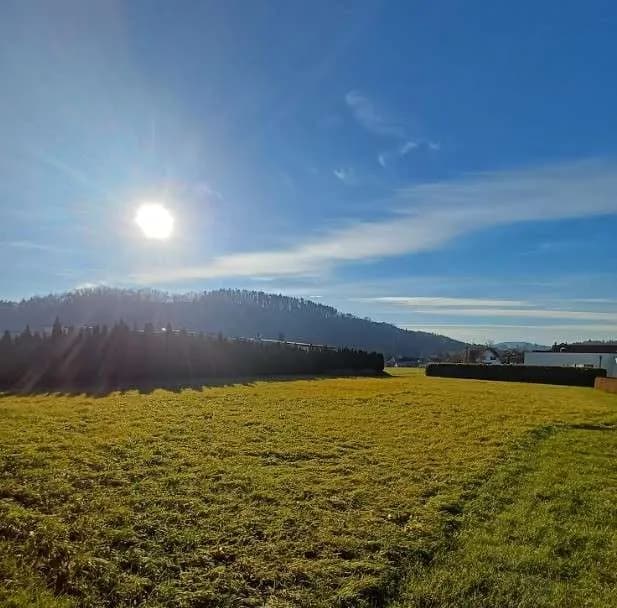 Grundstück kaufen in Leibnitz – 1 636 m², € 289.000