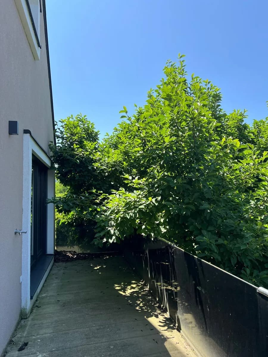 3-Zimmer-Wohnung mieten in Leibnitz – 79 m², € 850 – Bild 3 von 14