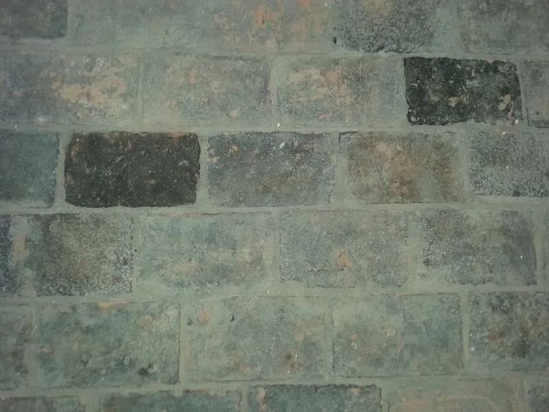 4-Zimmer-Wohnung mieten in Bruck an der Leitha – 180 m², € 1.487 – Bild 9 von 15