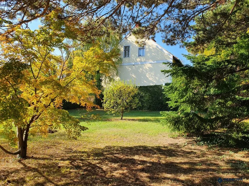 8-Zimmer-Immobilie kaufen in Baden – 259,78 m², € 1.990.000 – Bild 7 von 25