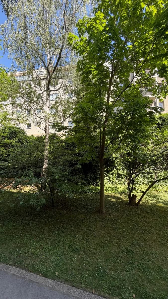 3-Zimmer-Wohnung mieten in Wien – 75 m², € 1.306 – Bild 11 von 11