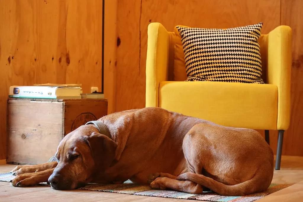 2-Zimmer-Wohnung mieten in Südoststeiermark – 64 m², € 693 – Bild 1 von 36
