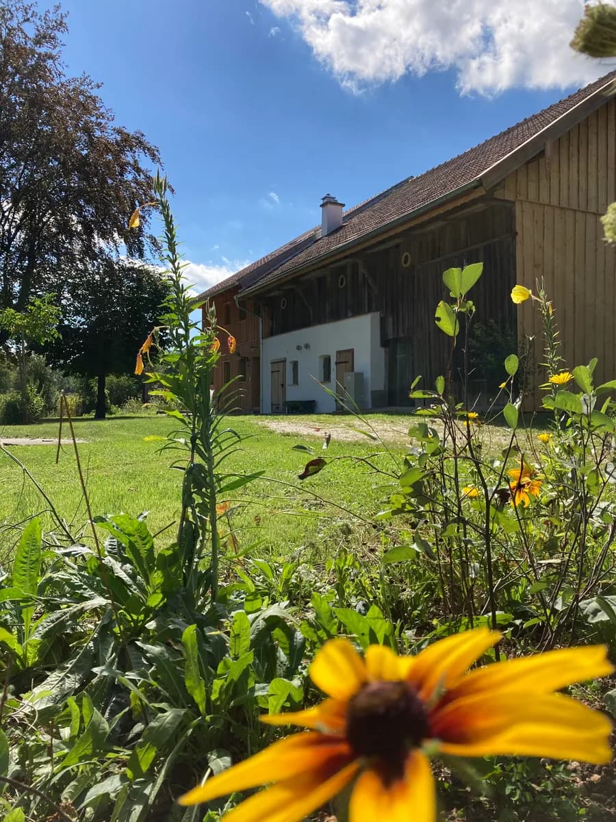 Haus kaufen in Braunau am Inn – 275 m², € 1.390.000 – Bild 6 von 87