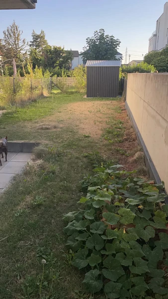 2-Zimmer-Wohnung mieten in Wien – 52 m², € 1.034 – Bild 10 von 11