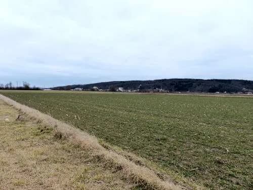 Immobilie kaufen in Tulln – 15 000 m² – Bild 3 von 7