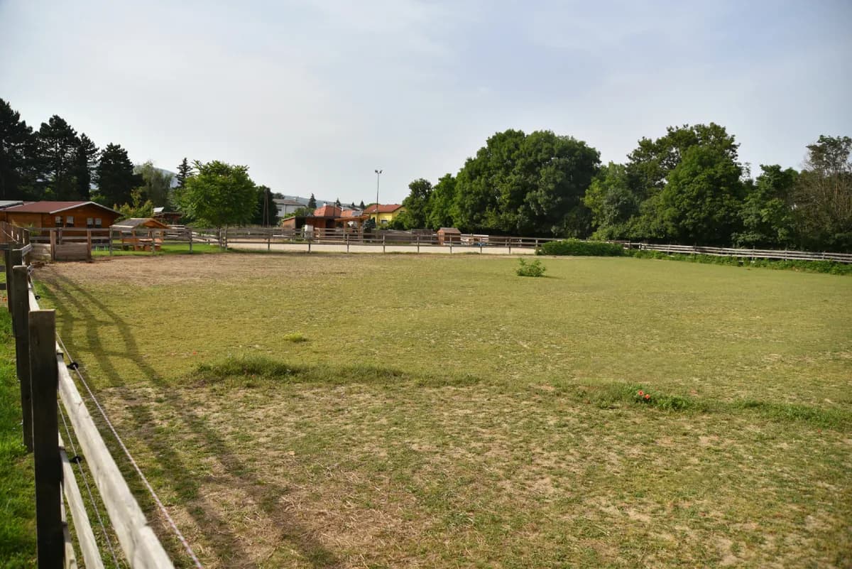 Immobilie mieten in Baden – 4 100 m², € 1.200 – Bild 2 von 10