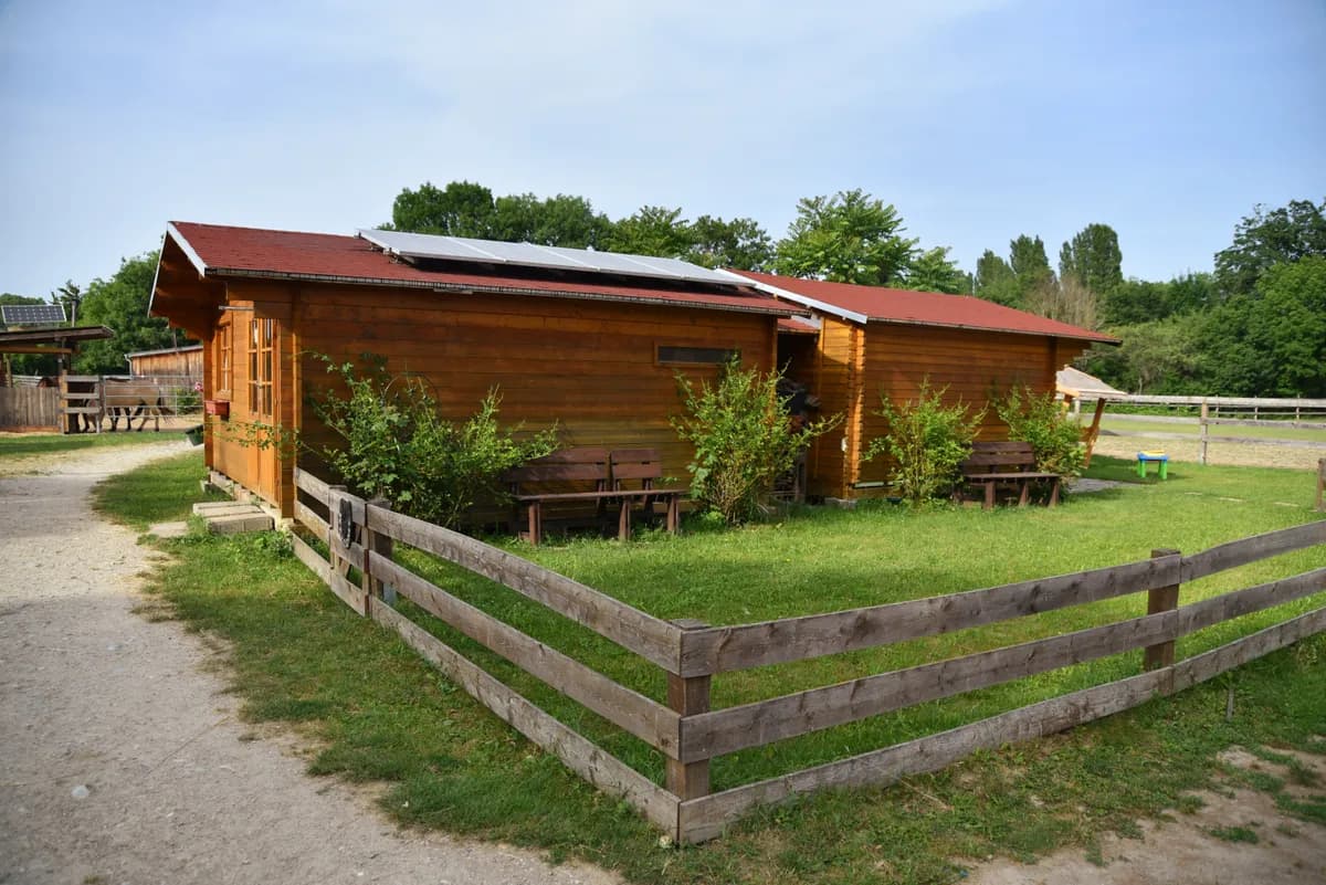 Immobilie mieten in Baden – 4 100 m², € 1.200 – Bild 3 von 10