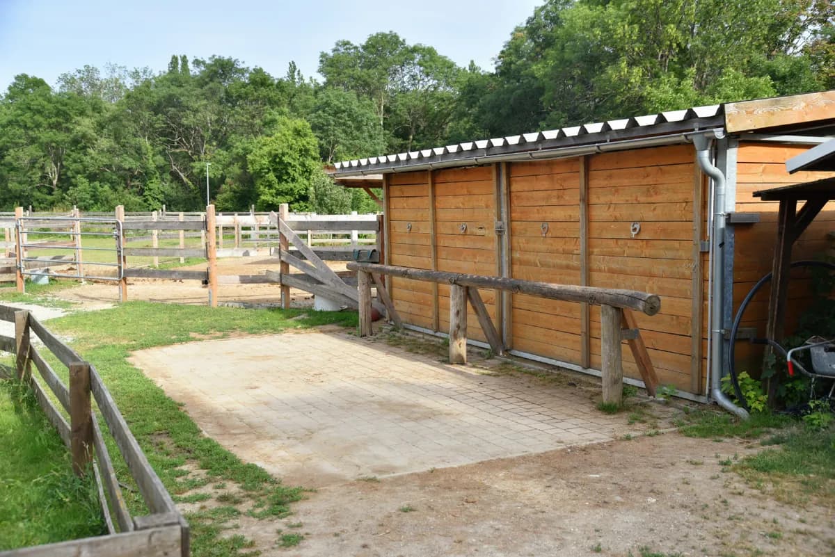 Immobilie mieten in Baden – 4 100 m², € 1.200 – Bild 4 von 10