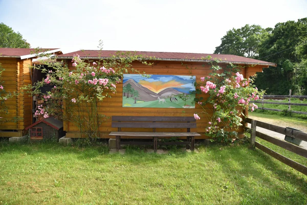 Immobilie mieten in Baden – 4 100 m², € 1.200 – Bild 7 von 10