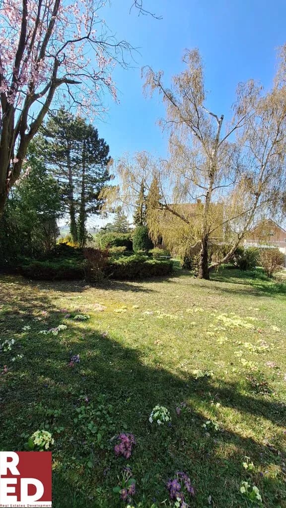 5-Zimmer-Haus kaufen in Mistelbach – 90 m², € 333.339 – Bild 6 von 11