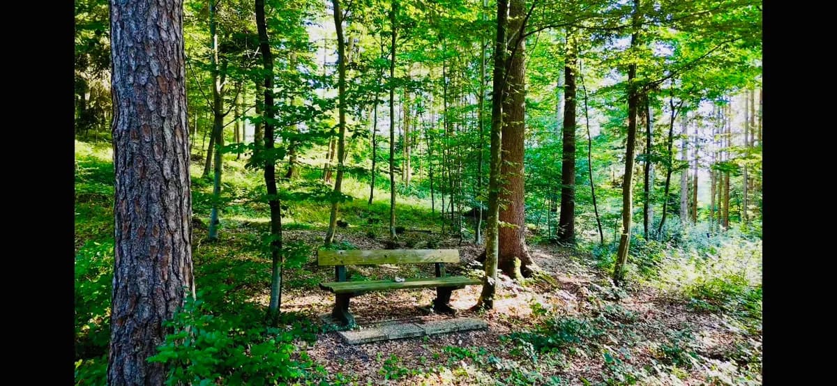 Gewerbeimmobilie mieten in Südoststeiermark – 180 m², € 15 – Bild 27 von 29