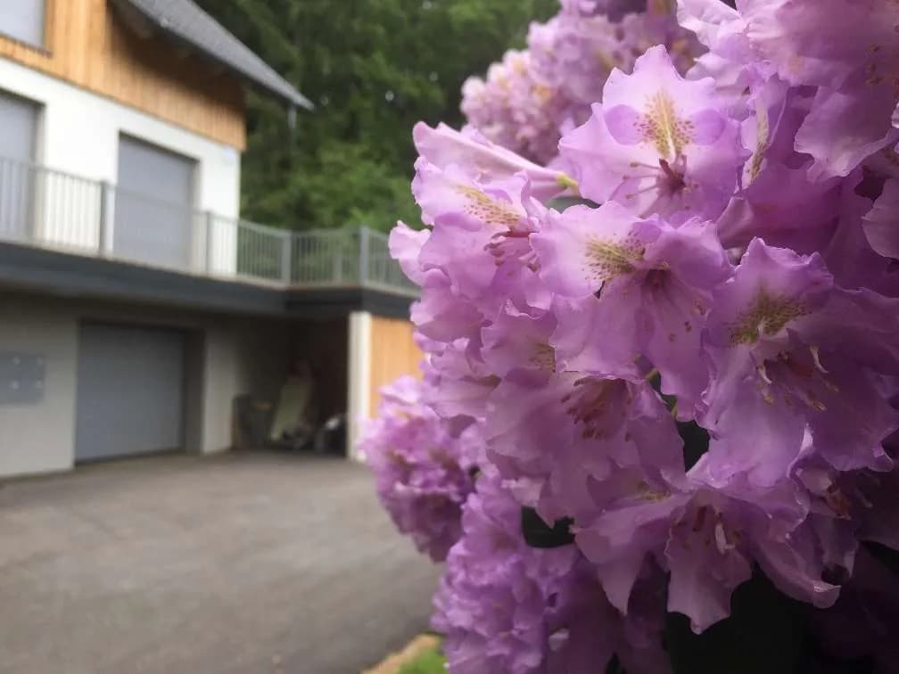 1-Zimmer-Wohnung mieten in Klagenfurt – 45 m², € 1.138 – Bild 15 von 21