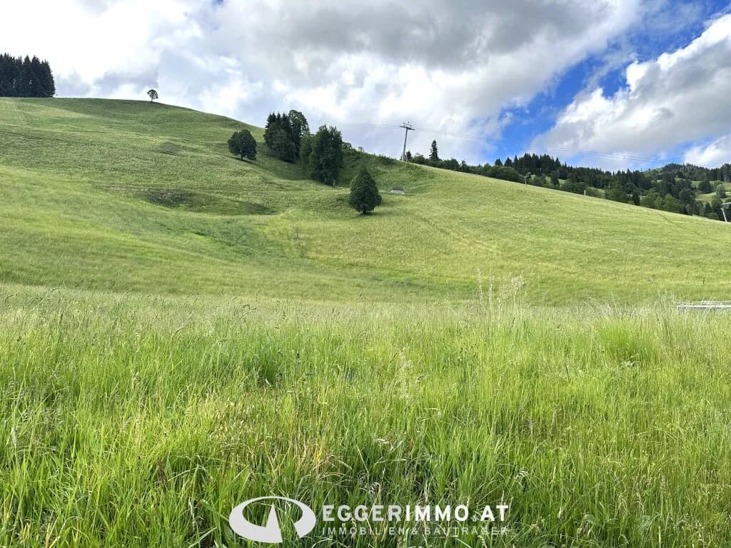 Grundstück kaufen in Zell am See – 700 m² – Bild 1 von 6