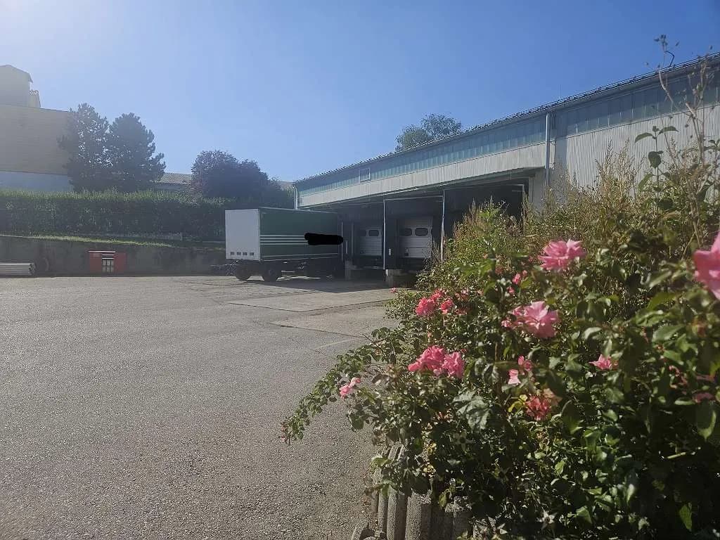 Gewerbeimmobilie mieten in Mattersburg – 380 m² – Bild 7 von 19