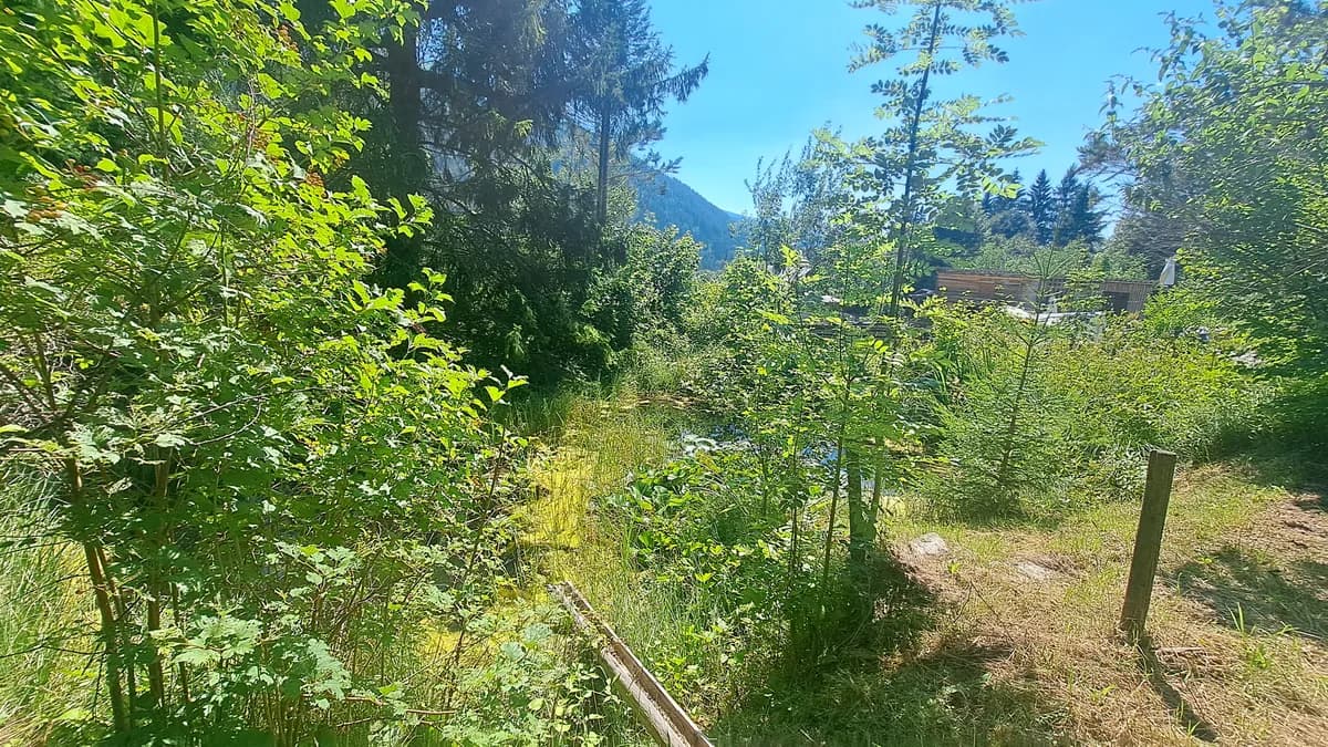 Haus kaufen in Bruck-Mürzzuschlag – 130 m², € 449.000 – Bild 6 von 24