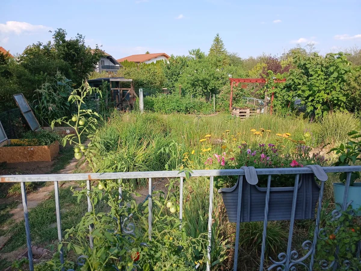3-Zimmer-Haus kaufen in Gänserndorf – 70 m², € 269.000 – Bild 9 von 9
