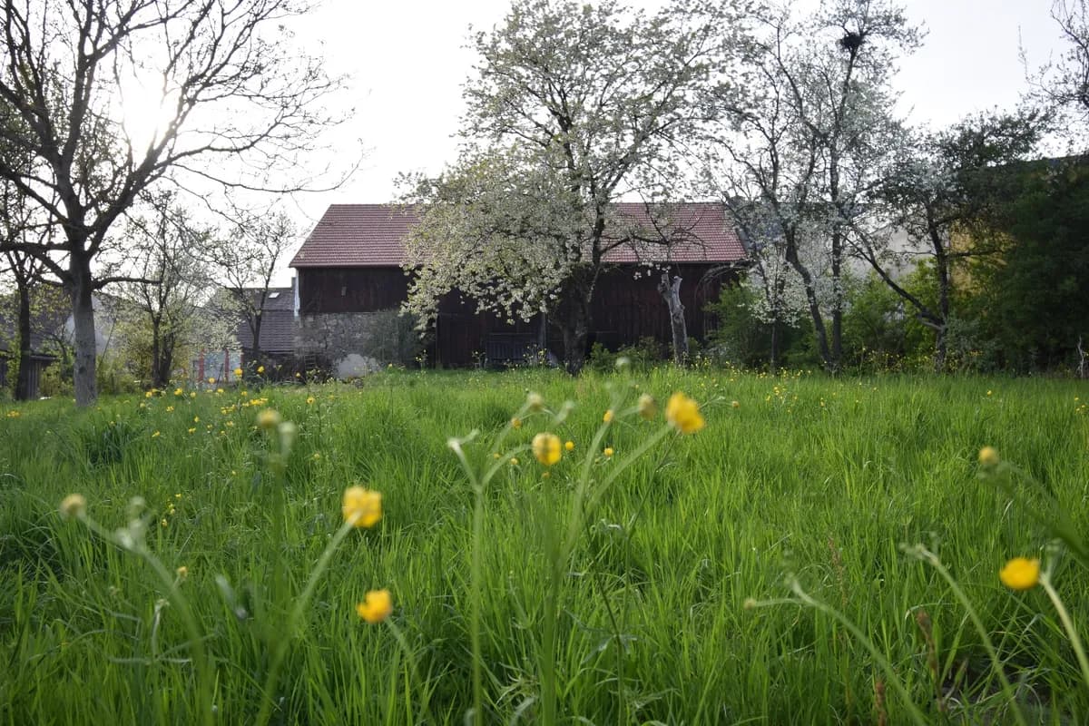 7-Zimmer-Haus kaufen in Rohrbach – 207 m², € 320.000 – Bild 7 von 11