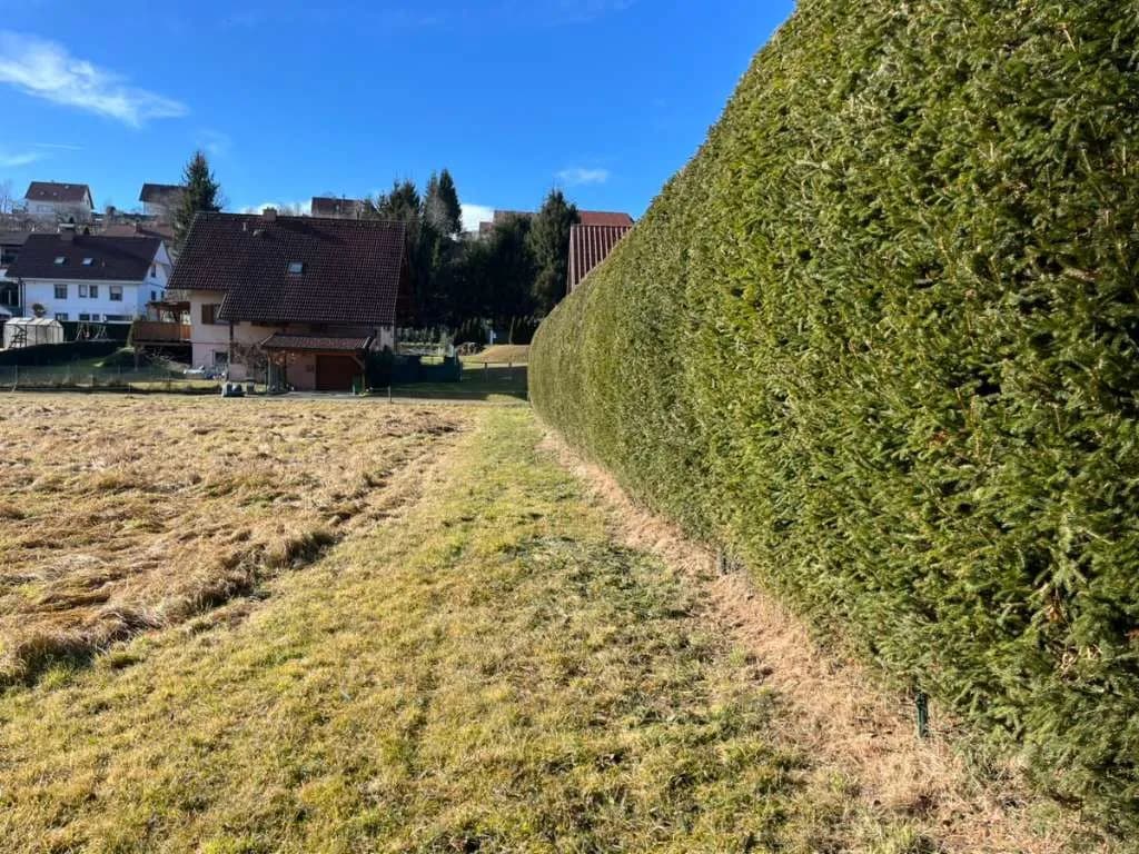 Grundstück kaufen in Graz-Umgebung – 1 157 m², € 260.325 – Bild 8 von 10