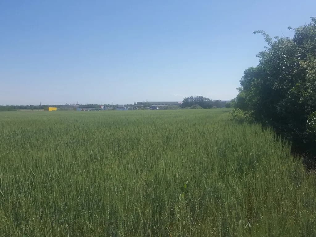 Immobilie kaufen in Korneuburg – 10 433 m², € 2.607.500 – Bild 3 von 16